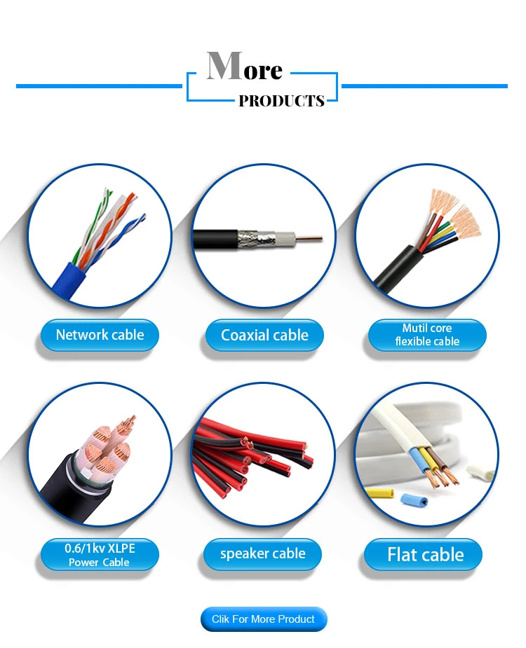 PVC Insulated Flexible Household Electrical Cable Silicone PTFE Electric Wire for Building and Equipment